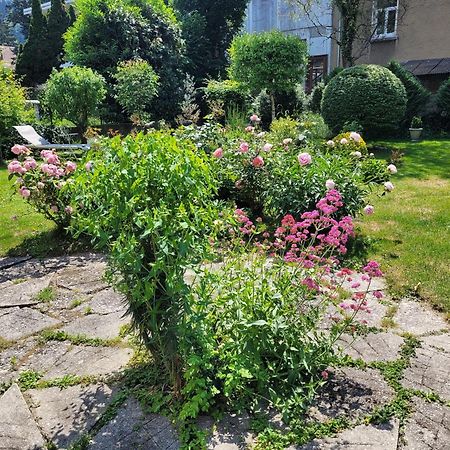 Les Colibris - Standing Et Jardin - 3 Etoiles Apartment Cluses Exterior foto